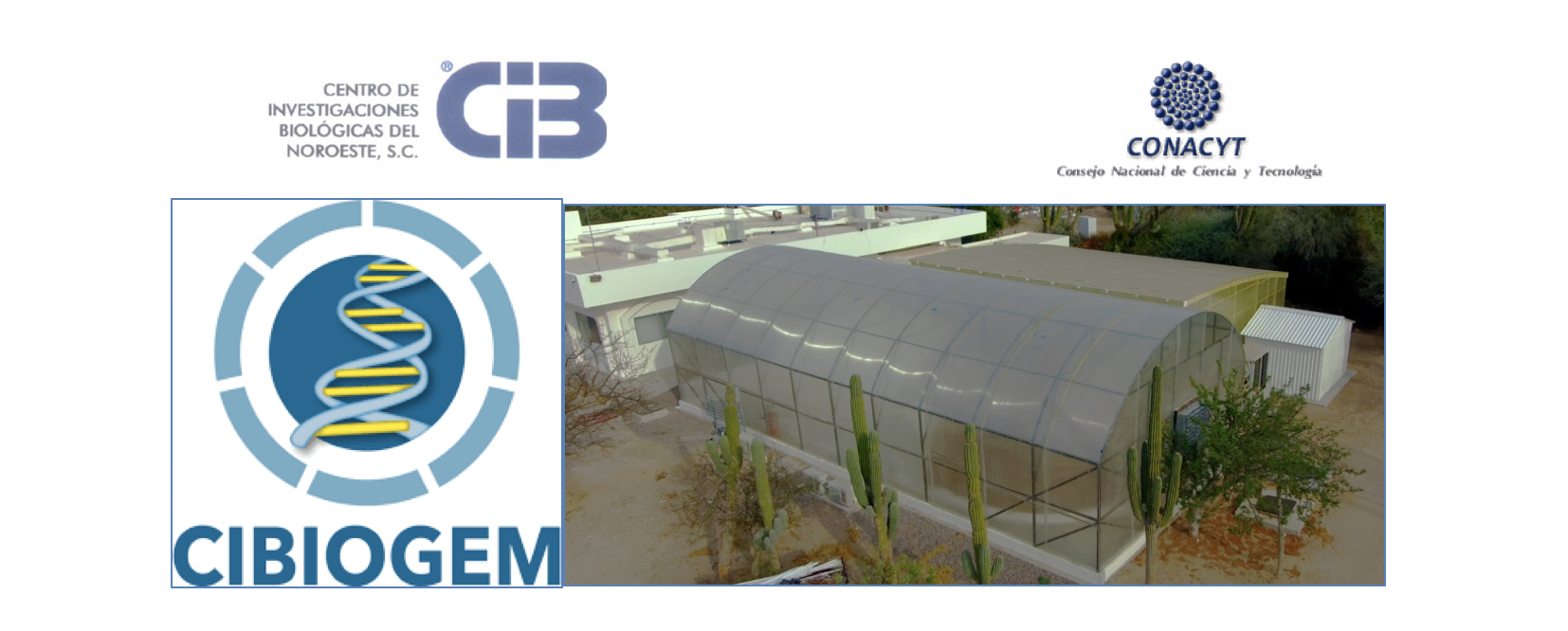 Captura de pantalla 2018 02 01 a las 12.04.03