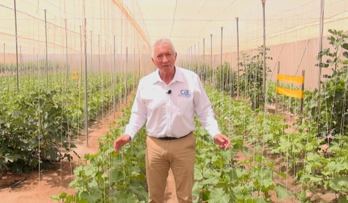 Proyecto de Malla Sombra en la Reserva de la Biosfera del Vizcaíno.