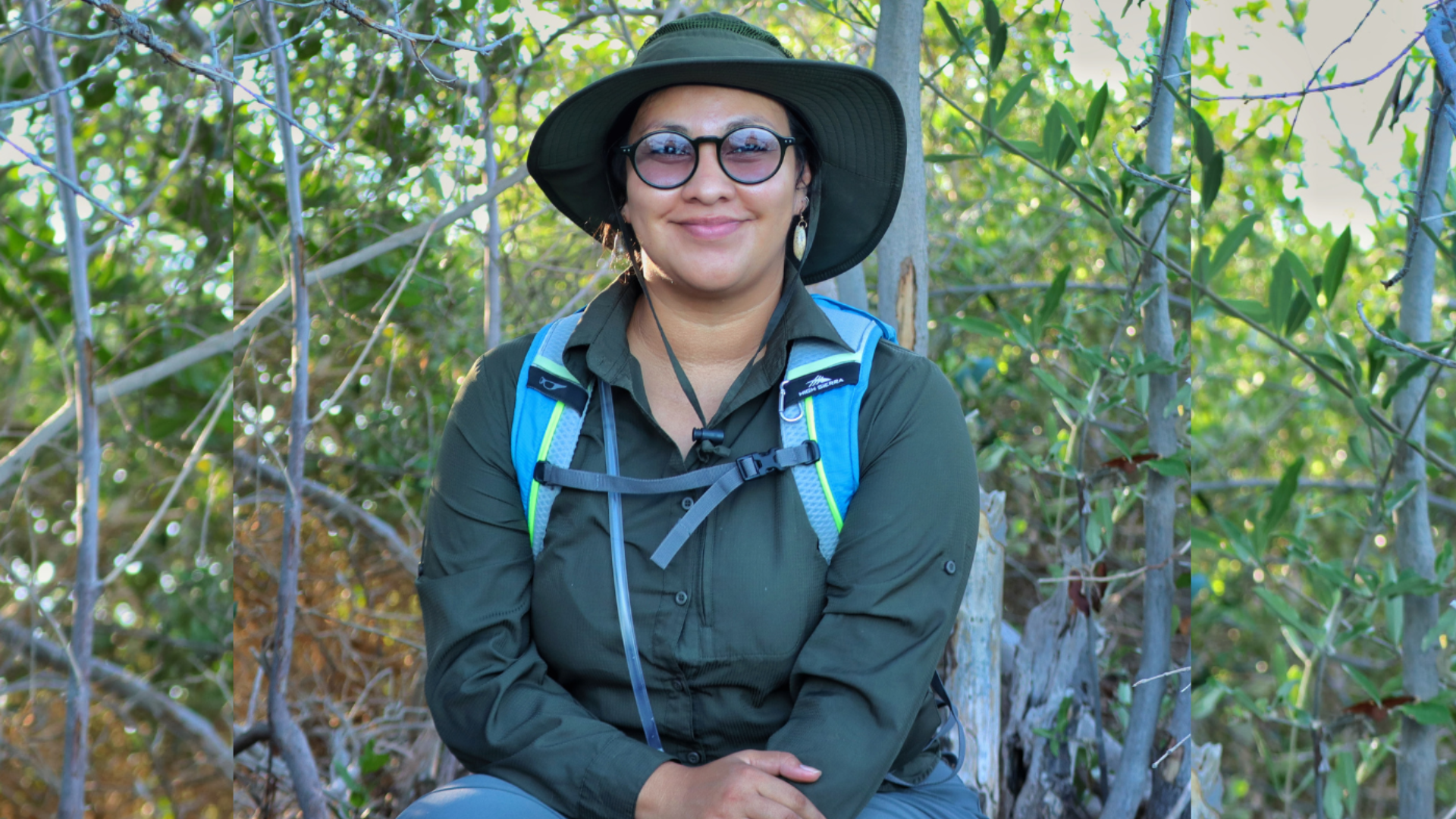 Revelando los tesoros subterráneos de carbono en manglares de la Paz