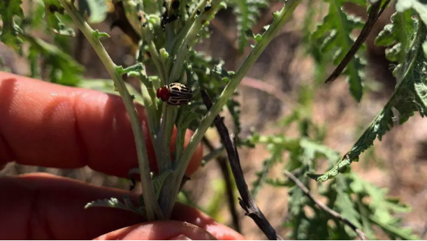 Captura de Pantalla 2026 03 19 a las 15.45.50