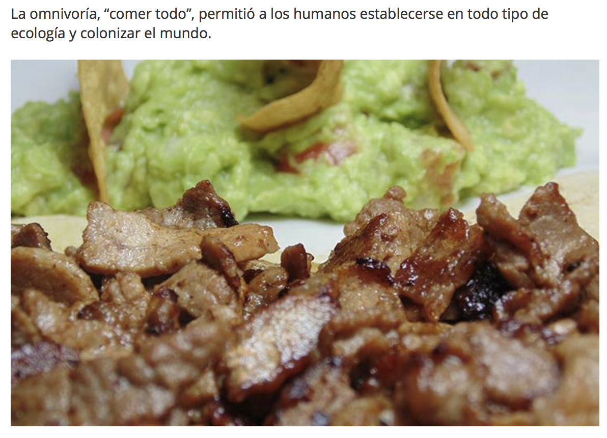 Captura de pantalla 2019 01 17 a las 10.05.26