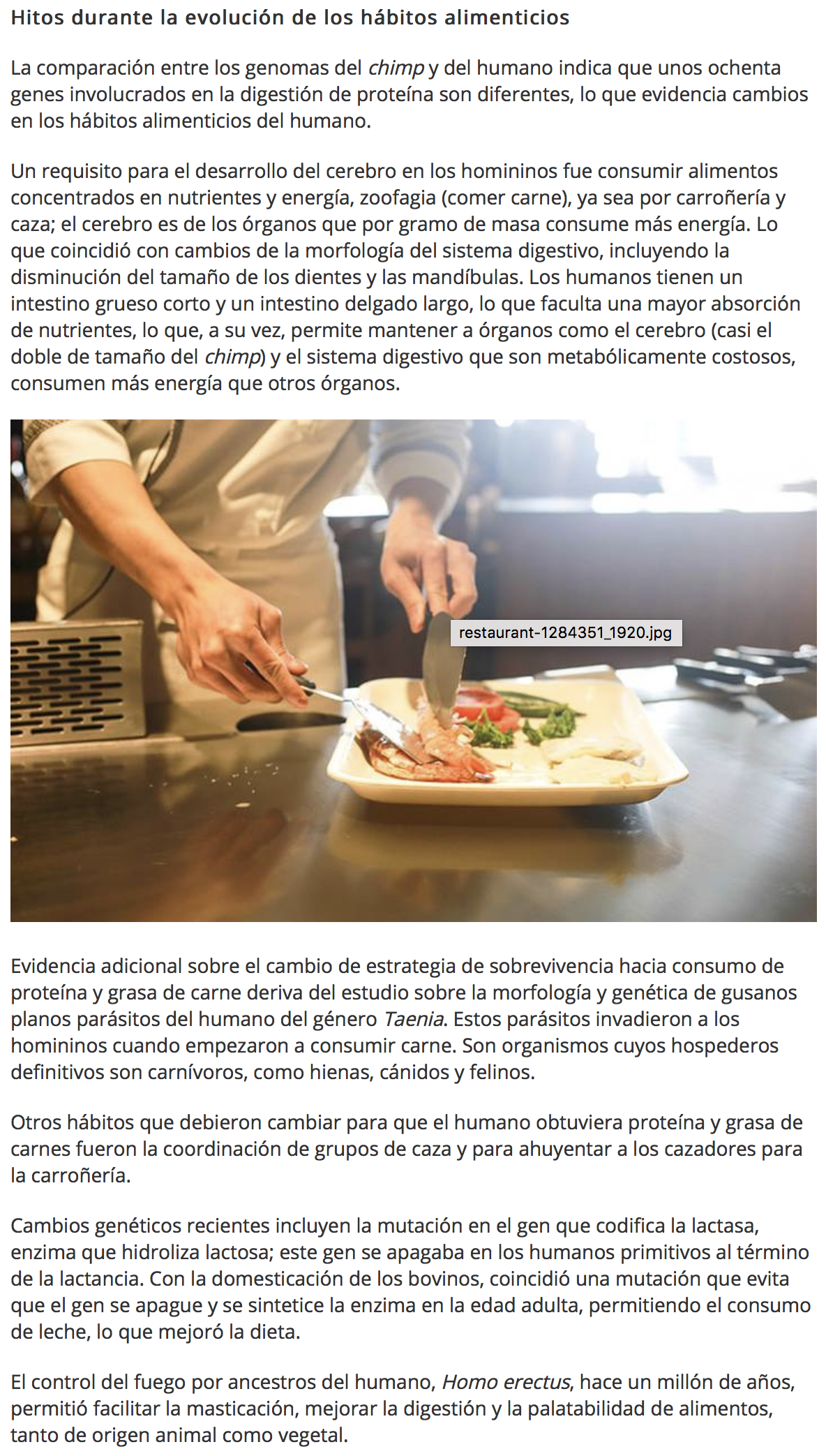 Captura de pantalla 2019 01 17 a las 10.05.42