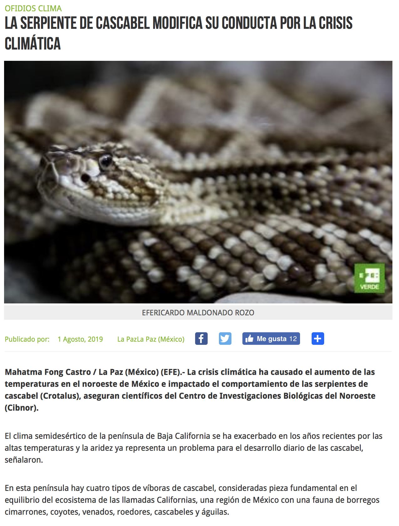 Captura de pantalla 2019 08 12 a las 15.47.45