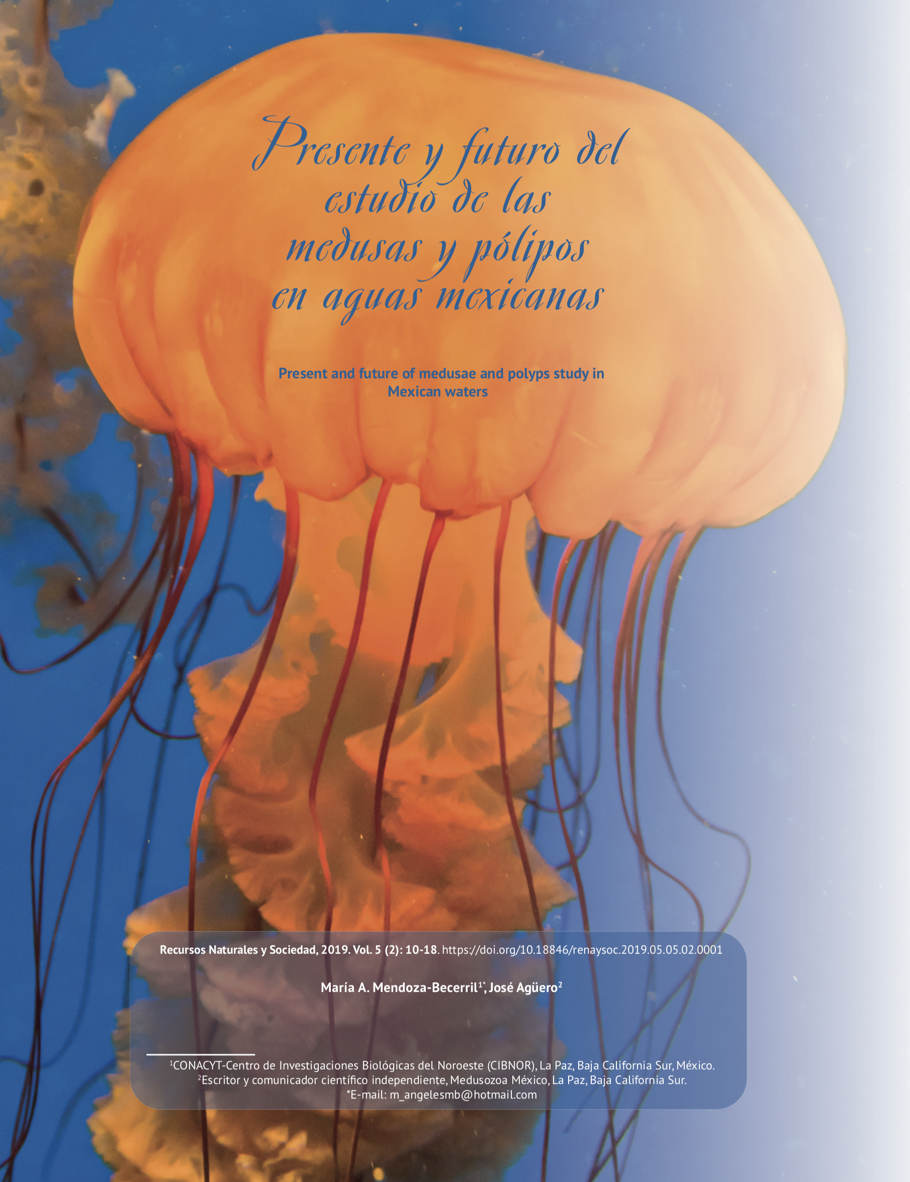 Captura de pantalla 2020 01 21 a las 09.55.05