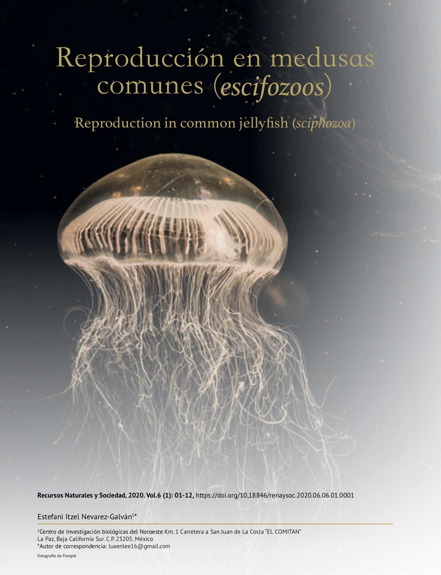 Captura de pantalla 2020 07 03 a las 15.10.00