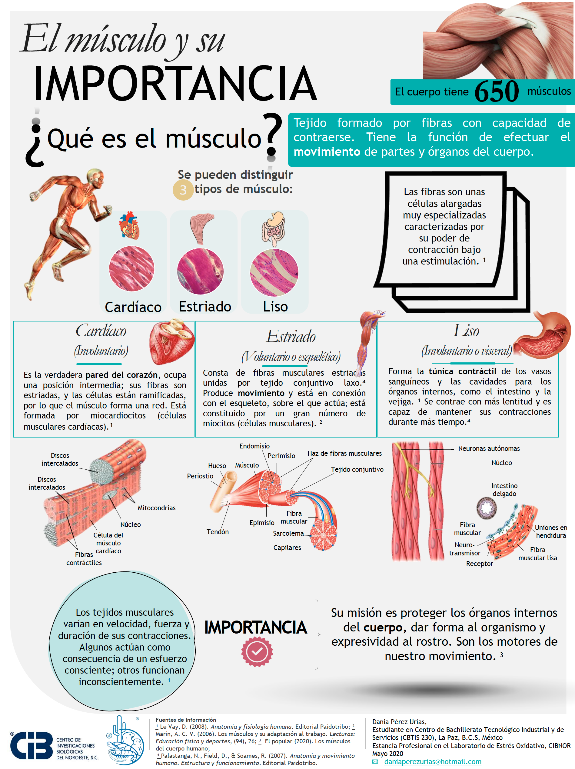 Captura de pantalla 2020 07 06 a las 23.08.45