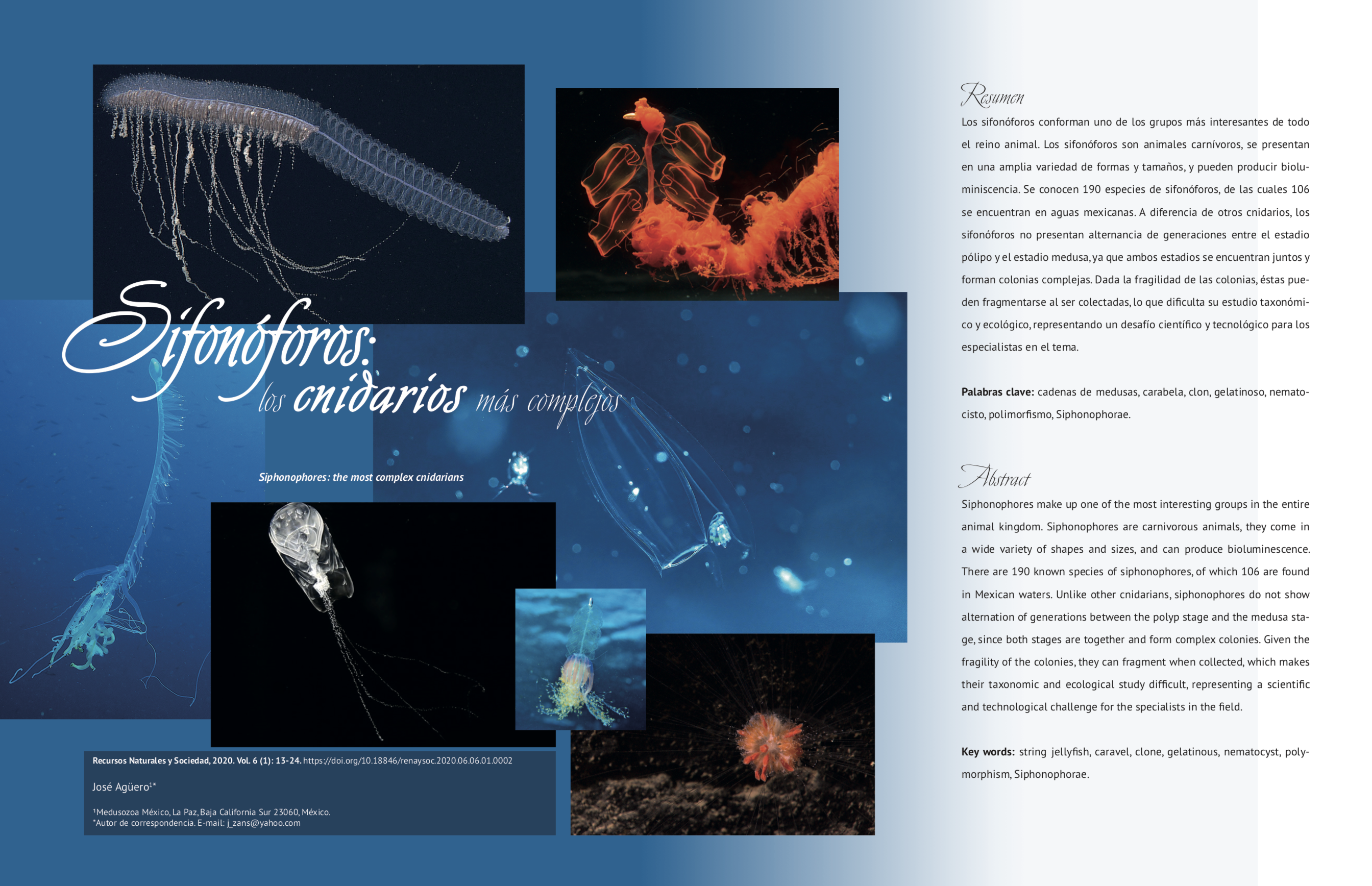 Captura de pantalla 2020 08 21 a las 14.49.23