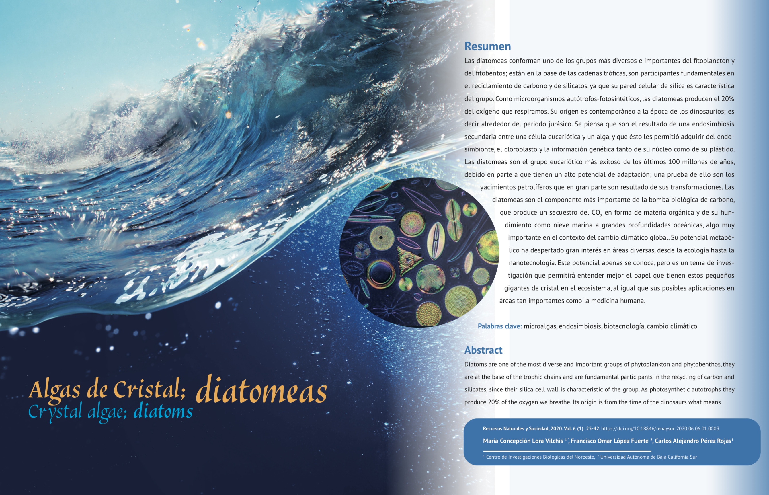 Captura de pantalla 2020 08 21 a las 14.50.34