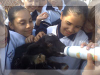 Niños en campo agrícola
