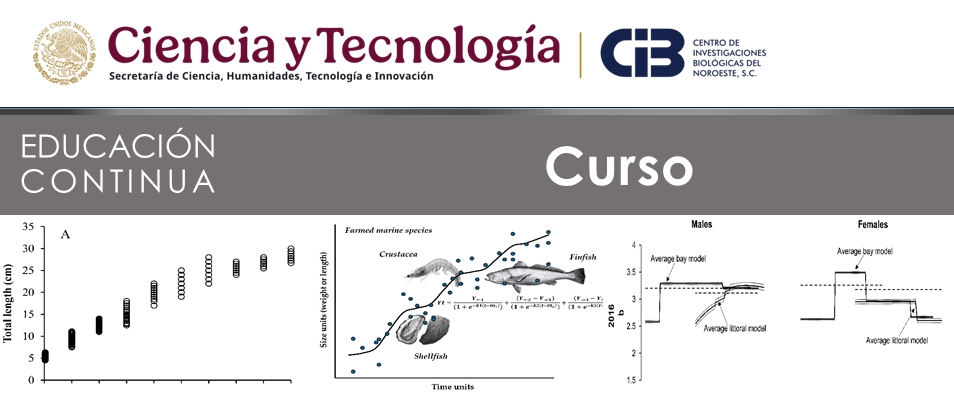 Ejemplo de Imagen a mostrar en encabezado